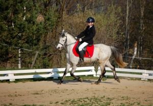 Provizorní povrch - kombinace trávy a písku