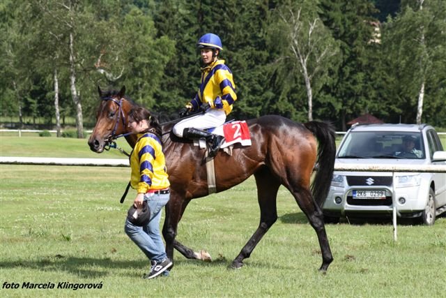 Ve Varech letos bodoval také talentovaný žák Martin Laube Ve Varech letos bodoval také talentovaný žák Martin Laube
