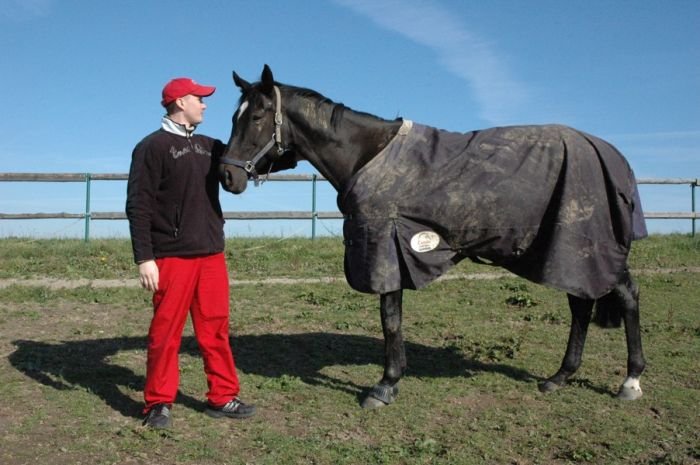 Daniel Bilý a Bejrut