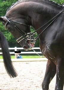 tekoucí sliny tekoucí sliny