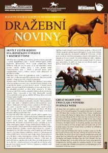 Dražební noviny 6/2011