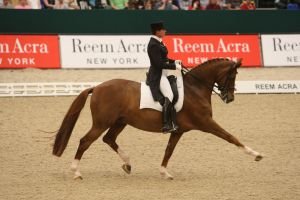 Inovace pravidel v drezuře