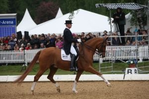 Inovace pravidel v drezuře