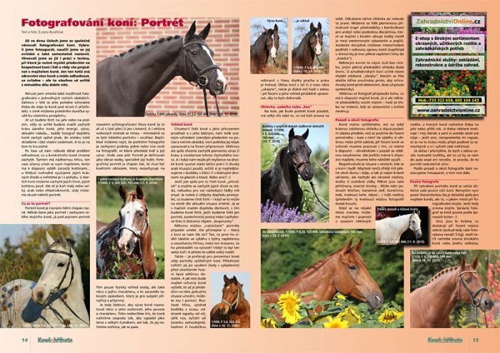 Náhled článku v časopise