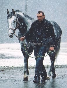 Scyris v zimě roku 2007