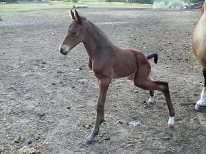 tak to dělají kluci