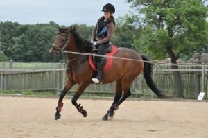 Lonžování bez třmenů - cesta k pevnému sedu