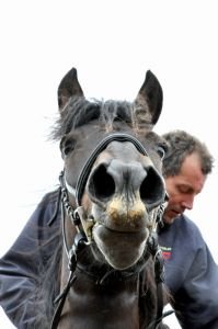 Není od věci občas zapojit i pauzu