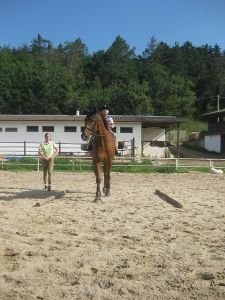 Koně můžete vést nejen na kavalety, ale i mezi ně:-).