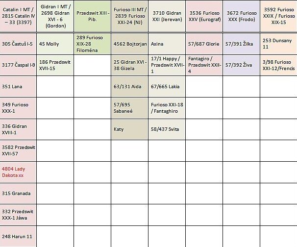 Plemeníci s předvybranými klisnami
