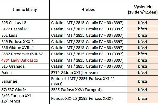Úspěšně připuštěné klisny (Furioso a MT)