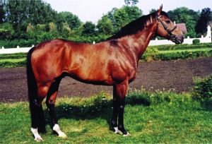 In Camera, otec Scyrise