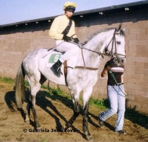 Satis - polobratr Scyrise