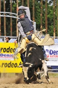 Bull Riding