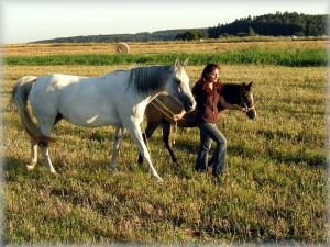 Shena, Iveta, Saffira Aisha