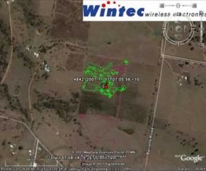 zeleně: pohyb klisen s hříbaty ve výběhu o výměře 4 ha, růžově na 16 ha