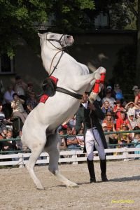 Den otevřených dveří