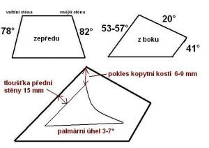 míry "normálního australského" kopyta