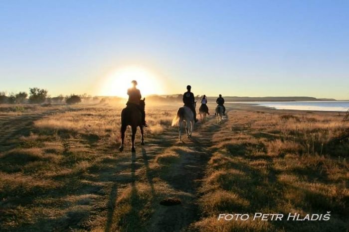 Momentka ze závodu Momentka ze závodu