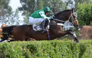 Treadwell - Trezor, prodloužený Taxis