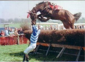 skokový styl některých dostihových koní