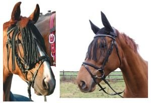 třásně používané při ježdění