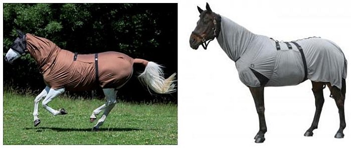 letní deky pro koně trpící alergií na hmyz