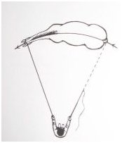 pozice lonžujícího vůči koni