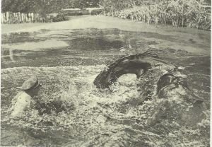 Vodní překážka OH Berlín 1936