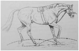 korektní práce na chambonu korektní práce na chambonu