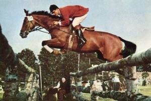 Cesta koní za pěti kruhy II – klusácká krev