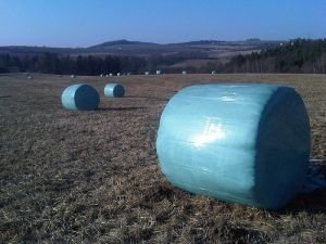 Kulaté balíky senáže