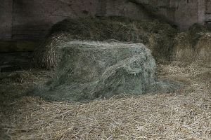 Otevřený balík je třeba co nejdříve zkrmit