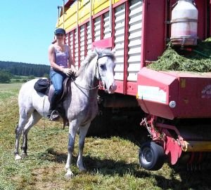 přidávání konzervantu do budoucí senáže