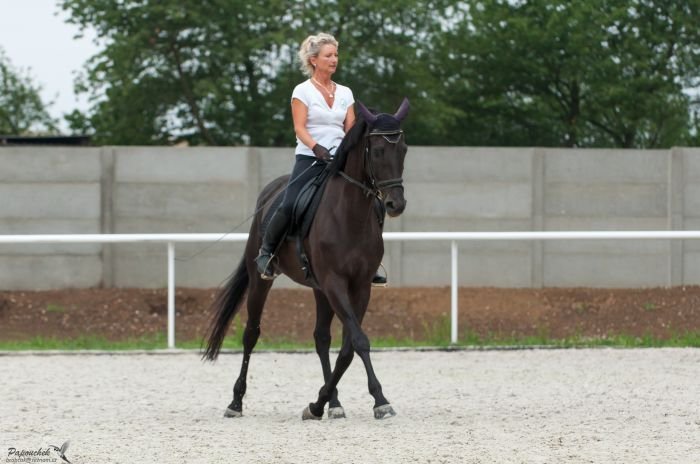 Překroky v klusu v podání paní Věry Konečné 