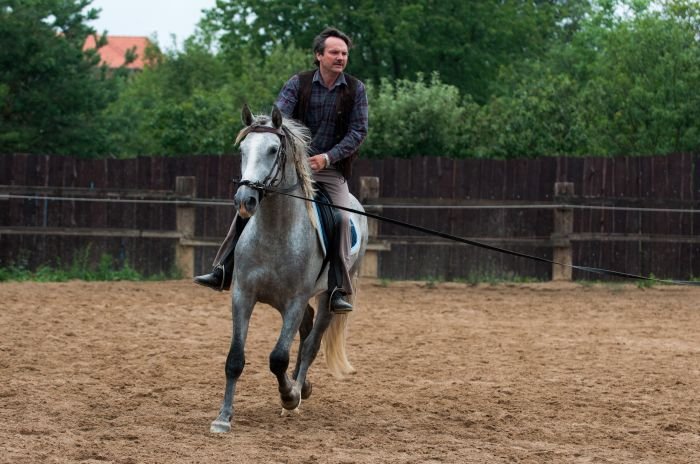 Jiří Sokol a mladý PRE hřebec