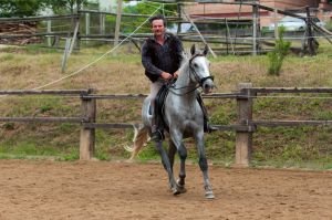 Jiří Sokol poprvé ve volnosti na jizdárně se svým koněm.