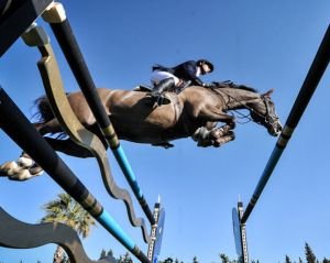 Nino des Buissonnets