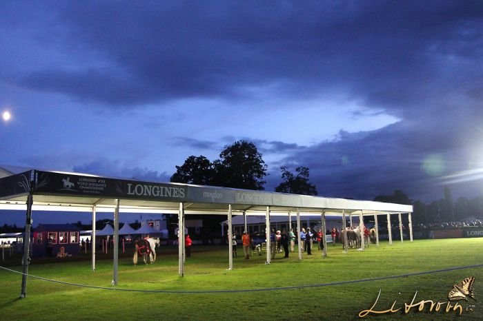 Shekel se do veteriny dostal po západu slunce 