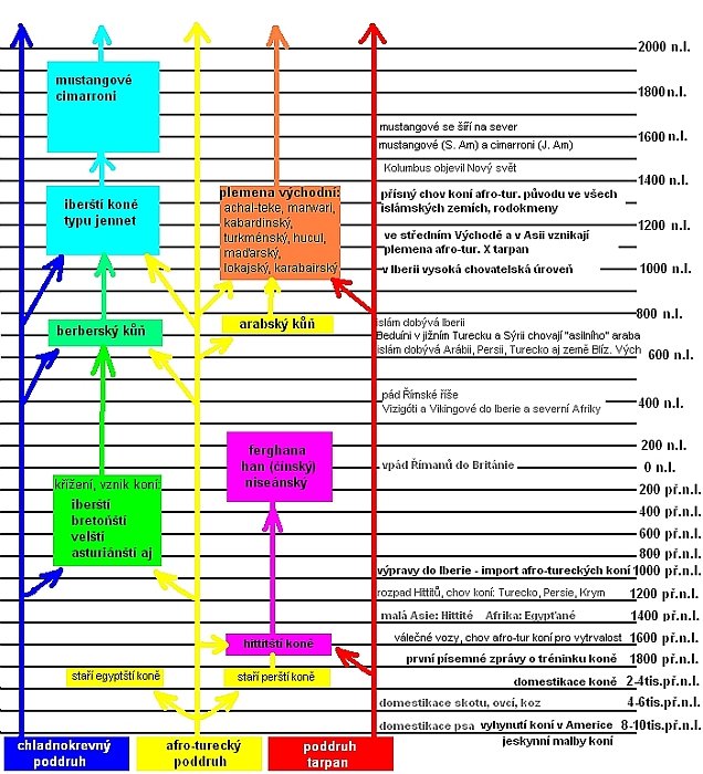 vzni a vývoj araba, berbera, mustanga a španělského koně (podle Deb Bennett, PhD) vzni a vývoj araba, berbera, mustanga a španělského koně (podle Deb Bennett, PhD)