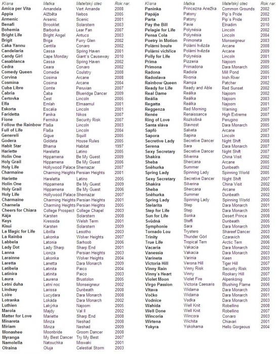 Dcery Rainbows for Life Dcery Rainbows for Life