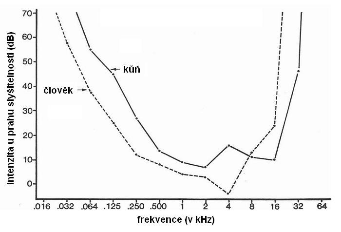 audiogram koně a člověka audiogram koně a člověka