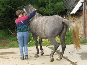 ustupování zádí ke člověku