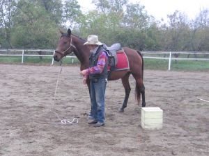 stání koně s provazem na zemi