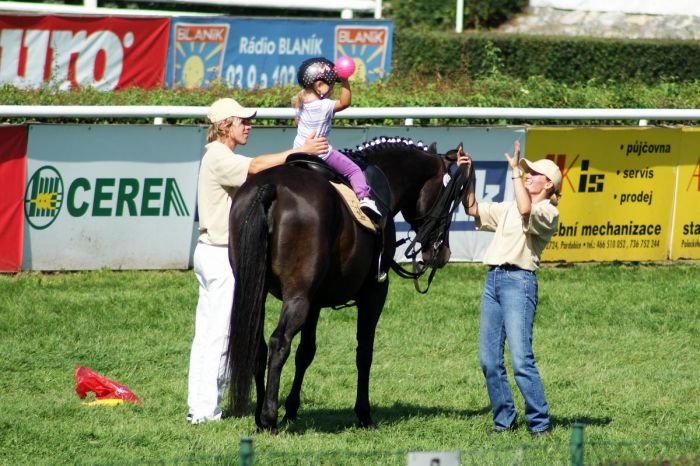 Výstava Pardubice, 57-694 Petty, rok 2011