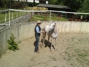 očichávání ocasu