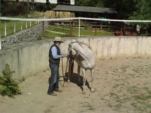 očichávání ocasu