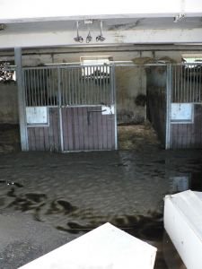 Císařský ostrov 9. 6. 2013