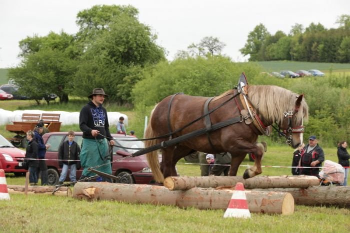 Jílek Jan a 55/391 Helena (ČMB) Jílek Jan a 55/391 Helena (ČMB)