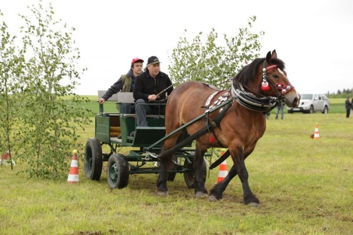 Žák Radek a 20/792 Michal (chlad. typ) Žák Radek a 20/792 Michal (chlad. typ)